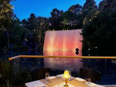 -拉斯维加斯永利酒店