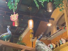 -大理董·董家小厨野生菌火锅(古城旗舰店)