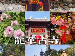 -龙华寺