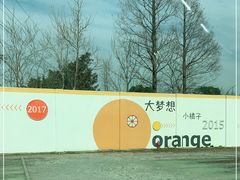 -前小桔亲子创意农场·草莓采摘·露营烧烤