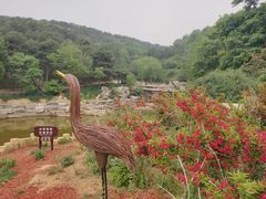 -北京西山国家森林公园