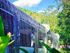 -亚龙湾热带天堂森林公园