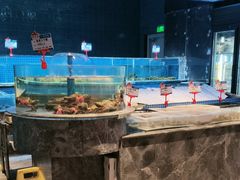 -海立阁海鲜江浙菜(漕河泾印象城店)