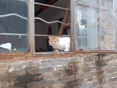-烟桥古村
