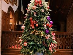 -马勒别墅·中餐厅