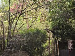 -腾冲洞山温泉村