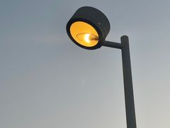 -先锋海鲜市场