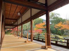 -醍醐寺