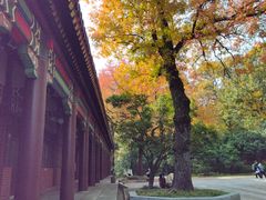 -灵谷景区