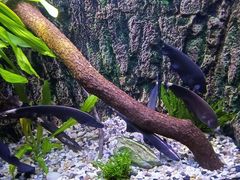 -上海海洋水族馆