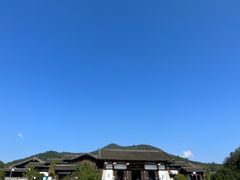 -大唐贡茶院