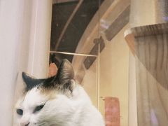 -黑胶星球(华发中城商都店)