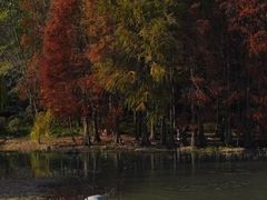 -长广溪湿地公园