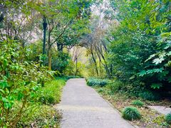 -上海吴淞炮台湾国家湿地公园