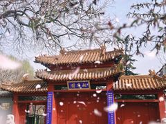 -桃花堤公园