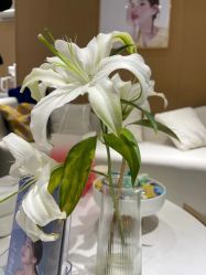 -康美贞·痘肌养护管理中心