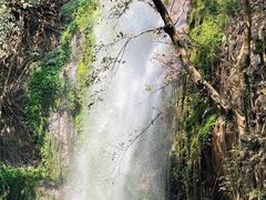 -莫里热带雨林景区