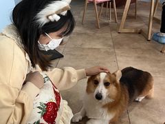 -汪说·狗咖(旺城大厦店)