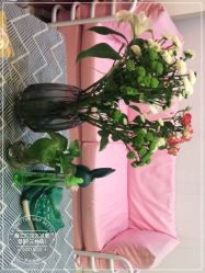 -摩瘦纤体订制减肥