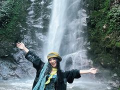 -莫里热带雨林景区