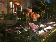 -SWAG·日咖夜酒·城市露营