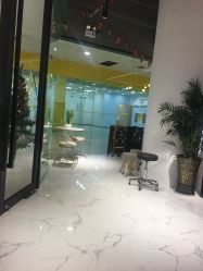 -T8 SALON