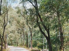 -云岫谷游猎自然风景区