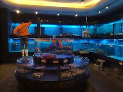 水产区-金悦轩海鲜城(渔人码头店)