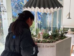 -春树下·树屋花房西餐厅(罍街AS1980店)