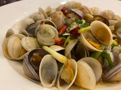 -碧丽宫大酒店(召稼楼店)
