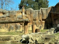 -杭州野生动物世界