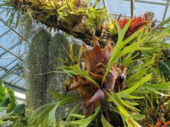 -国家植物园南园