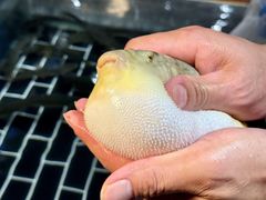 -大潮淮·淮扬菜(何园旗舰店)