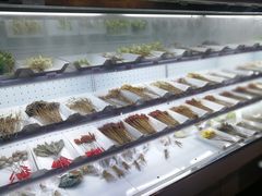 自助取餐区-搓火大都会(广安门总店)