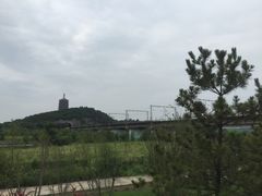 -永定河休闲森林公园