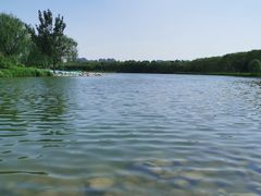 -大兴滨河森林公园