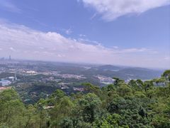 -水濂山森林公园