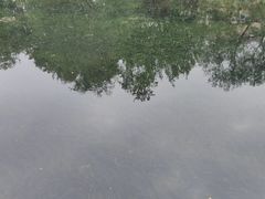 -小草房水煮鱼(东关大街店)