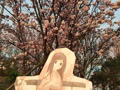 -天适樱花悠乐园