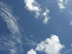 android_upload_pic-那琴半岛地质海洋公园