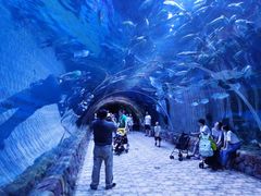 -华夏文旅海洋公园