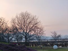 -福建鲤鱼洲酒店