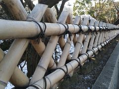 -名古屋城