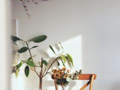 -AHAVA·Fang Baking Studio