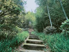 -菊花台公园