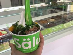 -Salud撒露欧洲冻酸奶(798艺术区店)