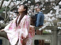 -武汉大学-樱园