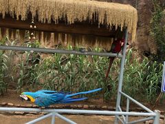 -西霞口神雕山野生动物世界