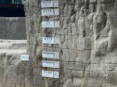 -金沙遗址博物馆