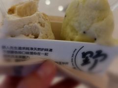 -野人先生Gelato(上海长宁龙之梦店)